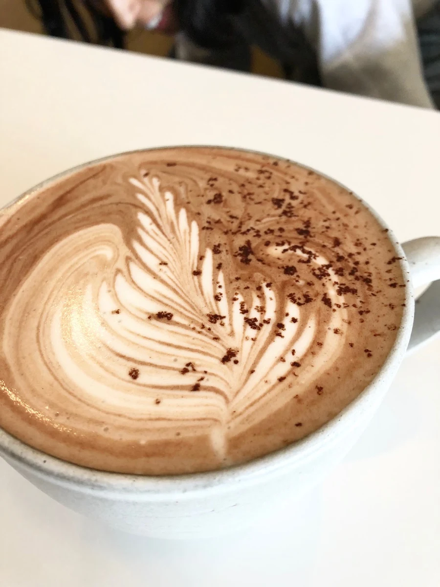 Hot Cocoa with Latte Art