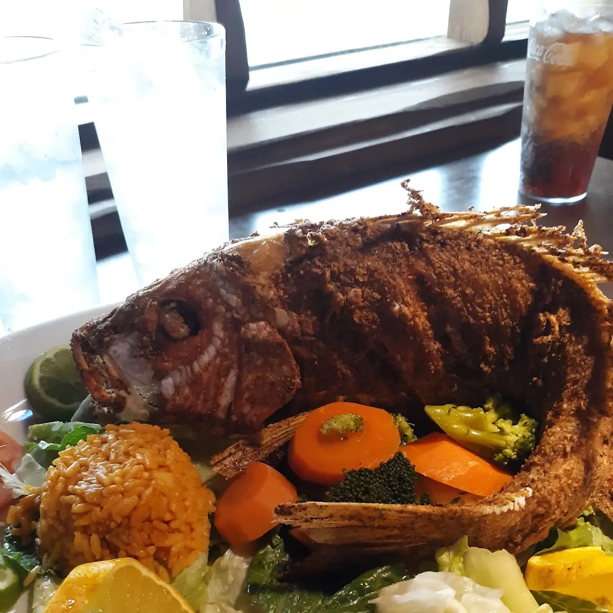 Red Snapper