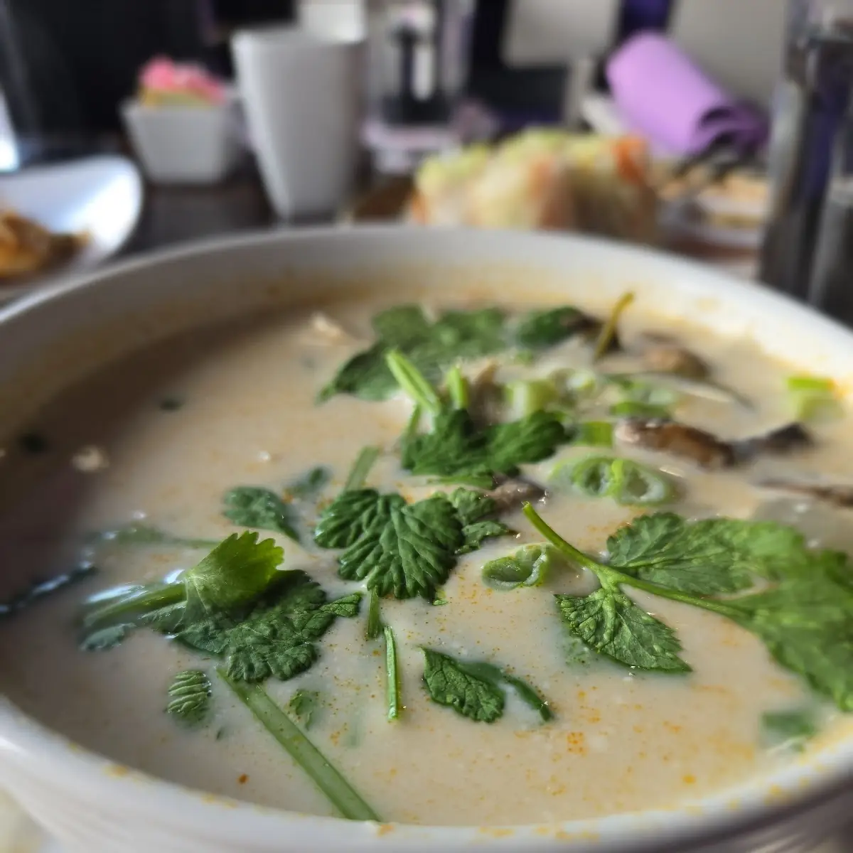 Tom Kha Soup Pot