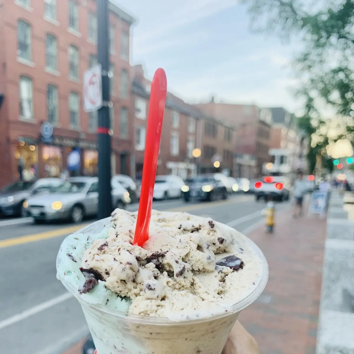 Mint Chocolate Chunk