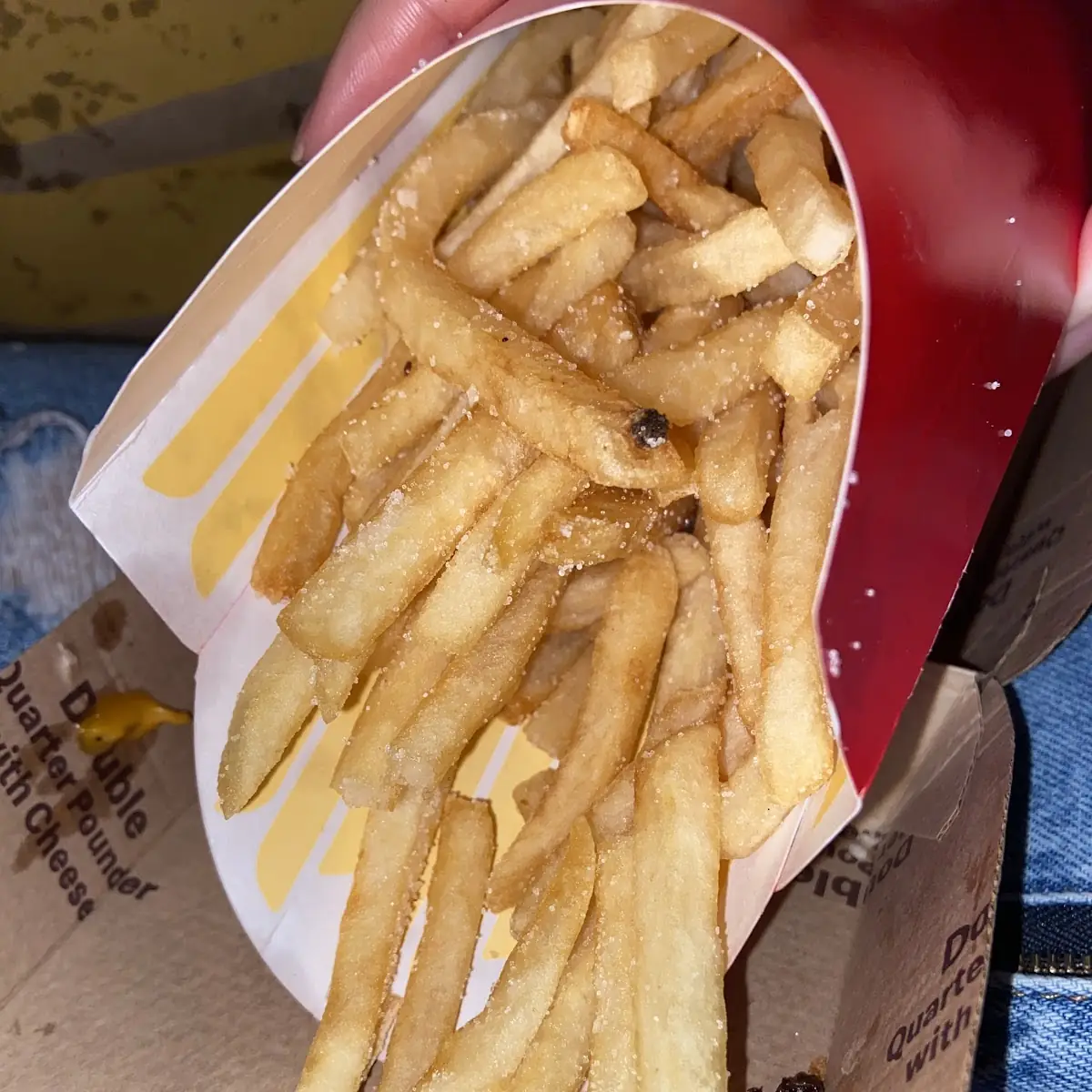 World Famous Fries