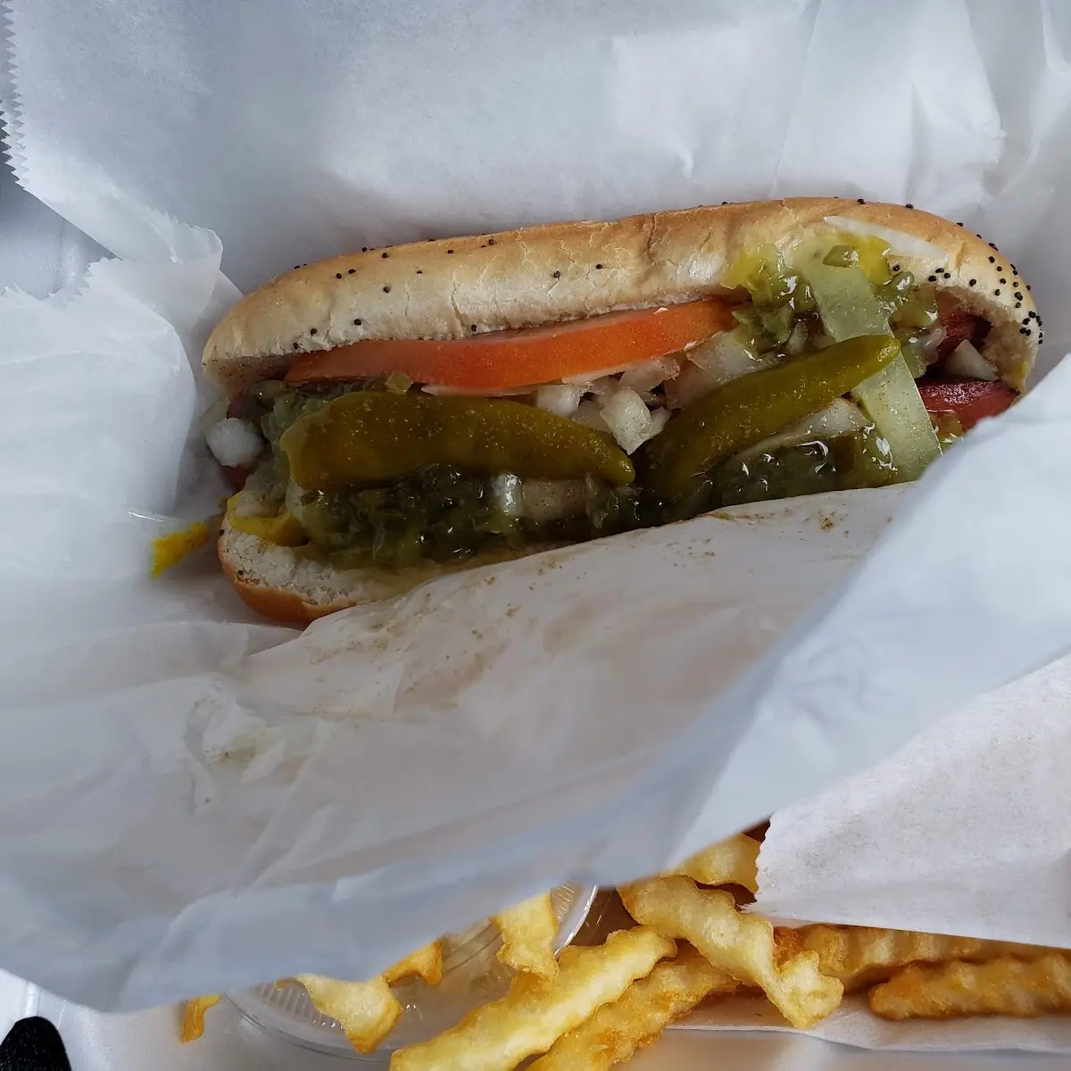 Chicago Dog