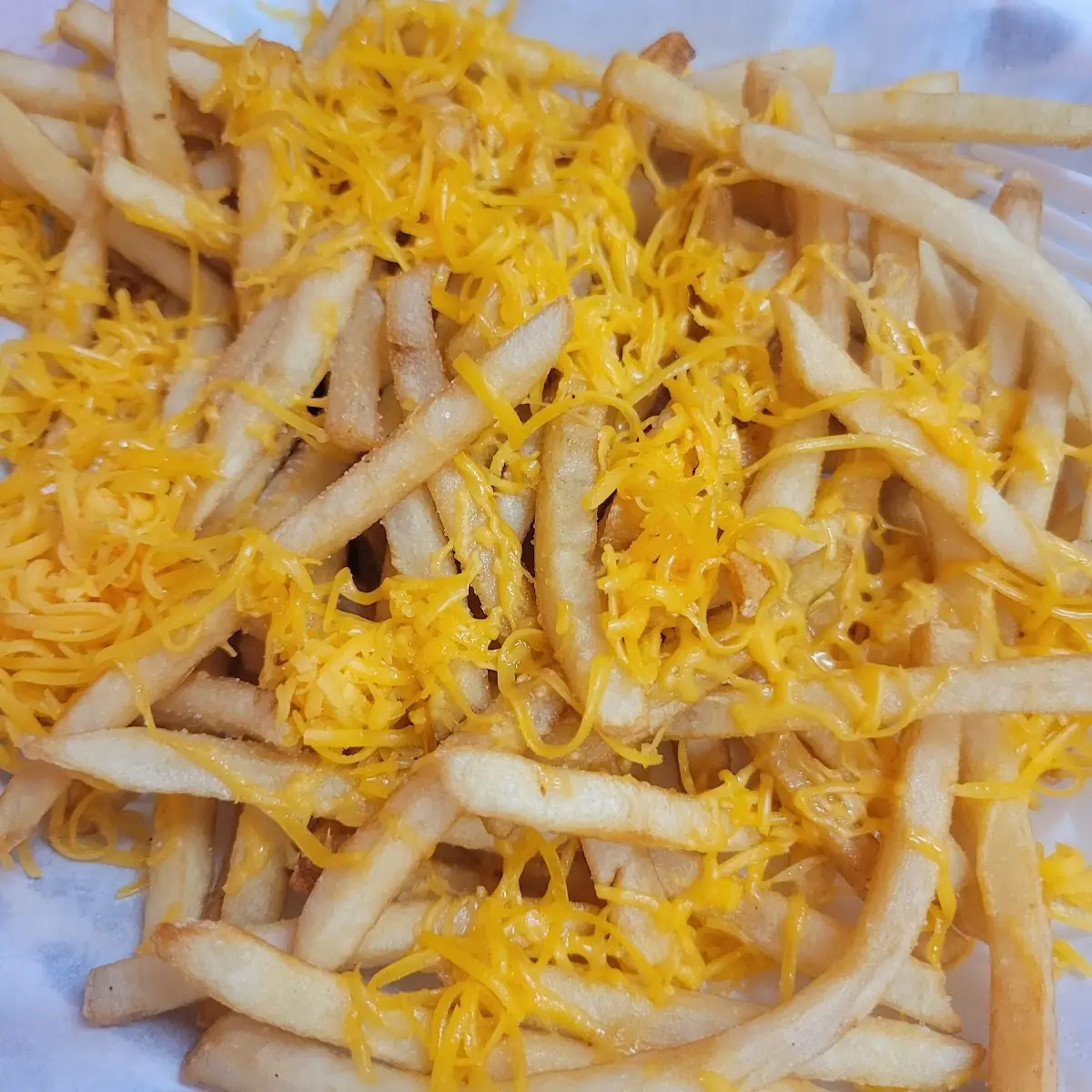 Enchilada de Queso / Cheese Enchilada