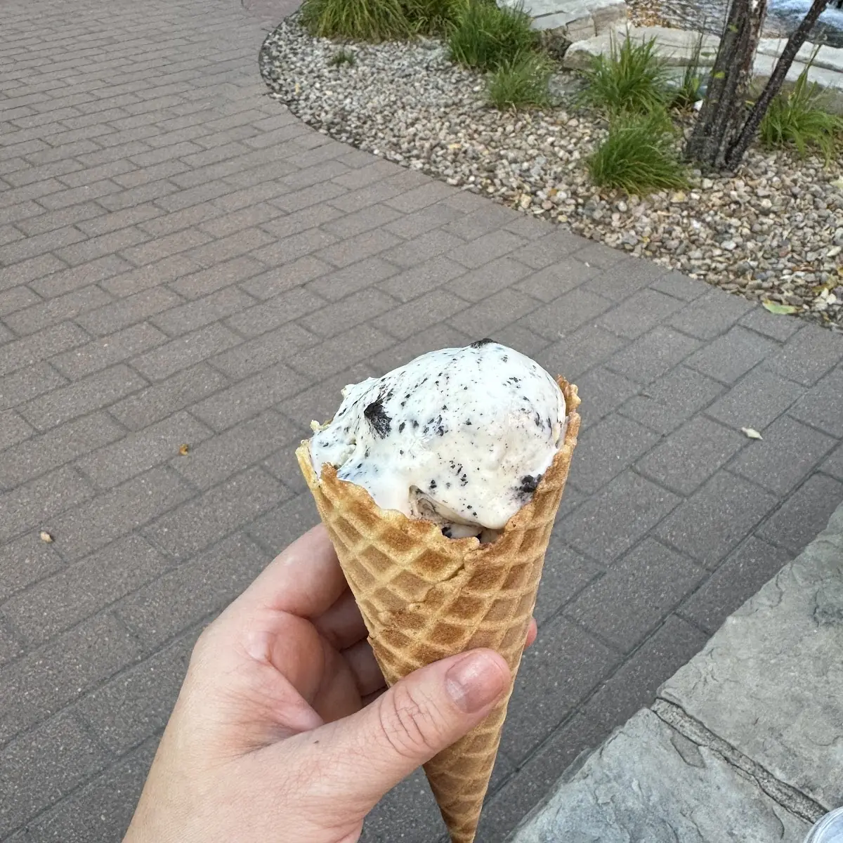 Salted Caramel Oreo Waffle Cone