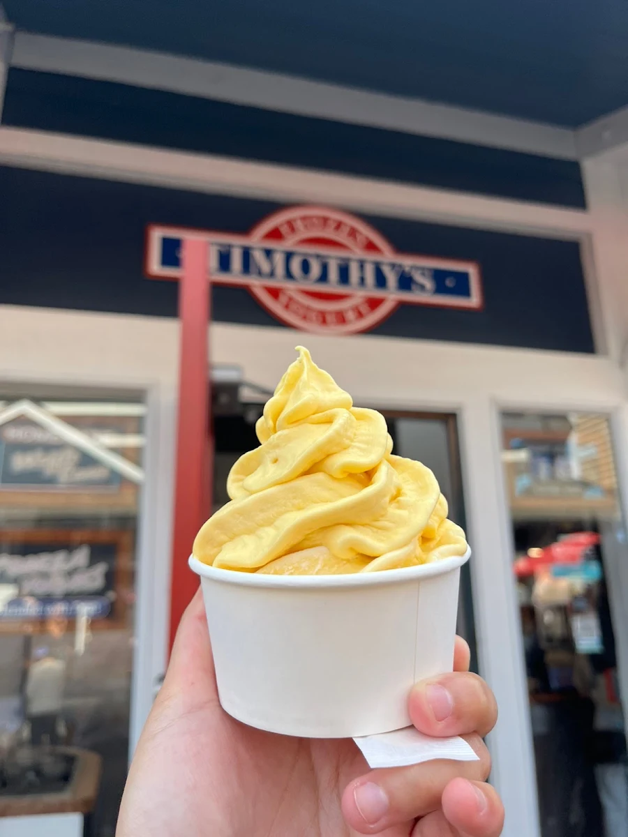 Mango Frozen Yogurt