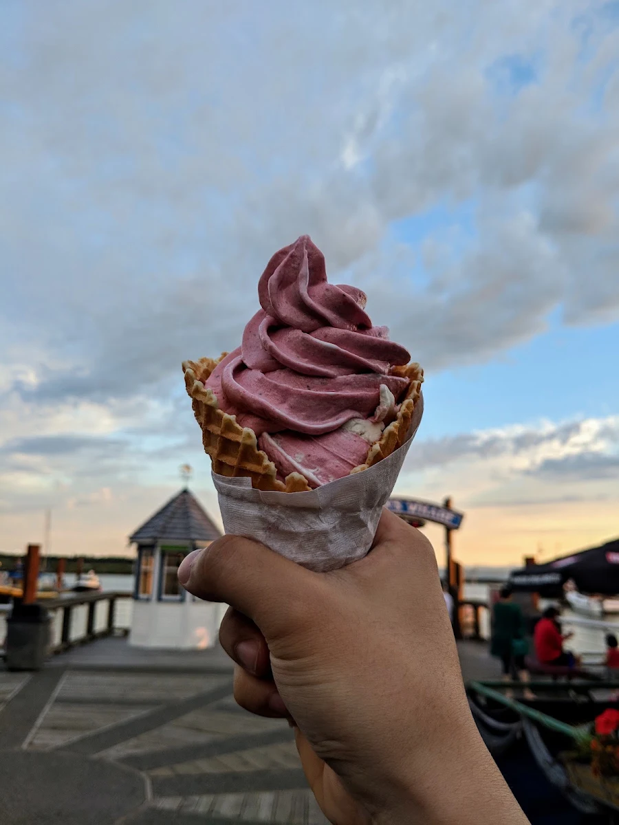 Mixed Berry Frozen Yogurt