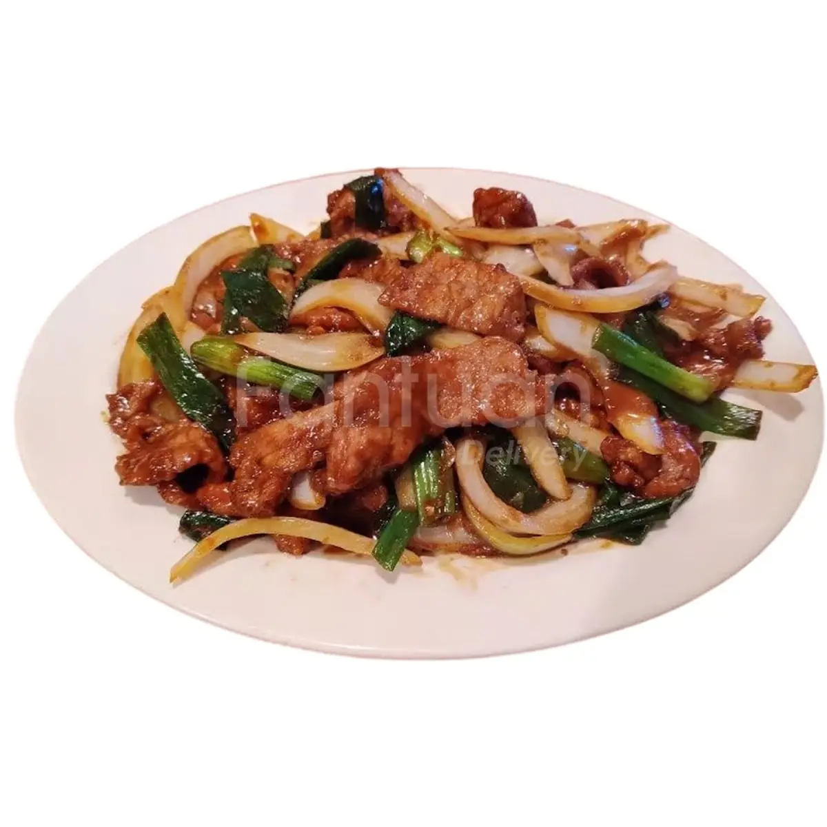 Mongolian Beef L