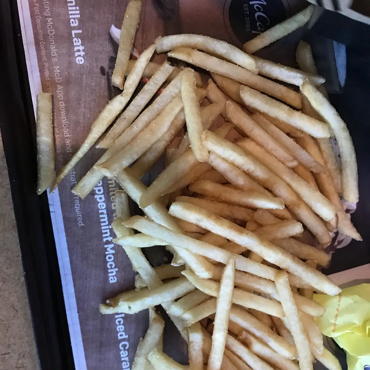 World Famous Fries