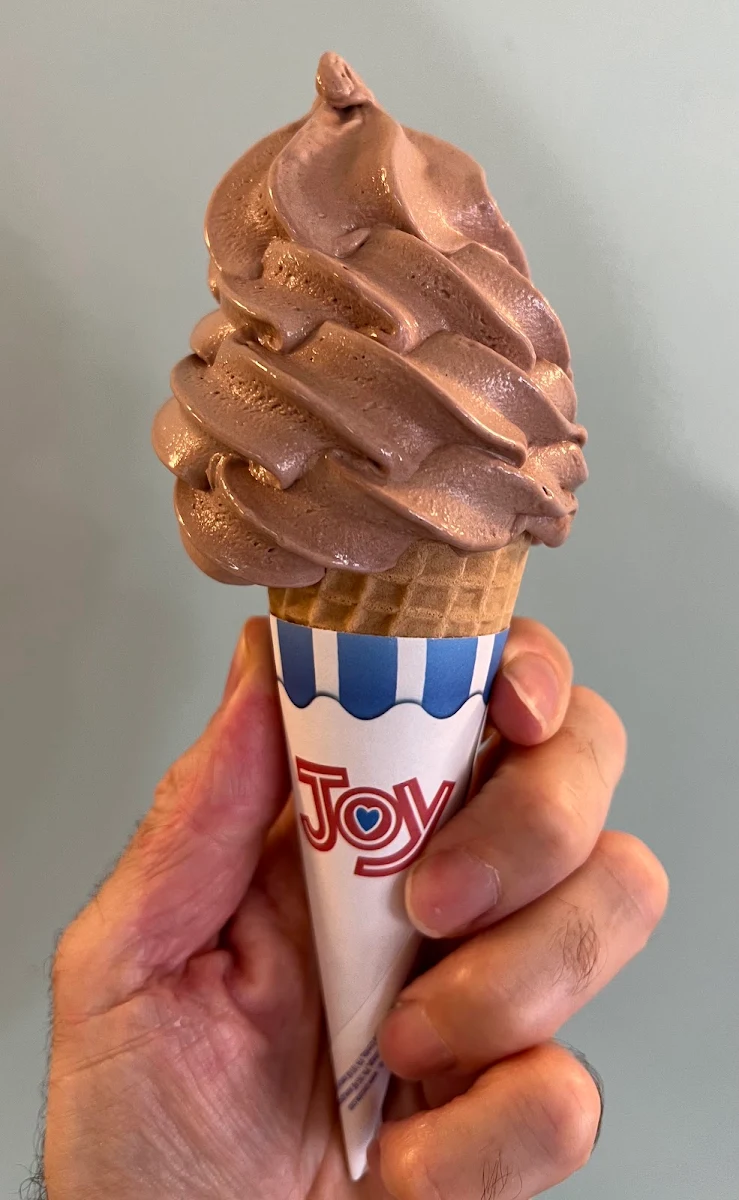 Soft Serve Chocolate Ice Cream