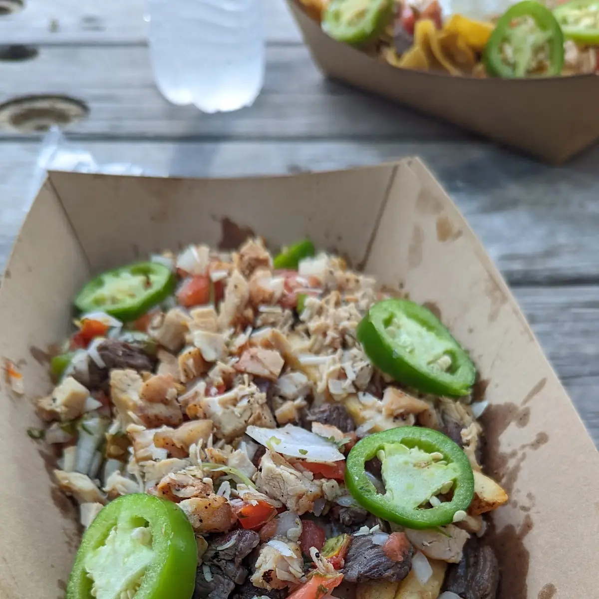 Carne Asada Fries