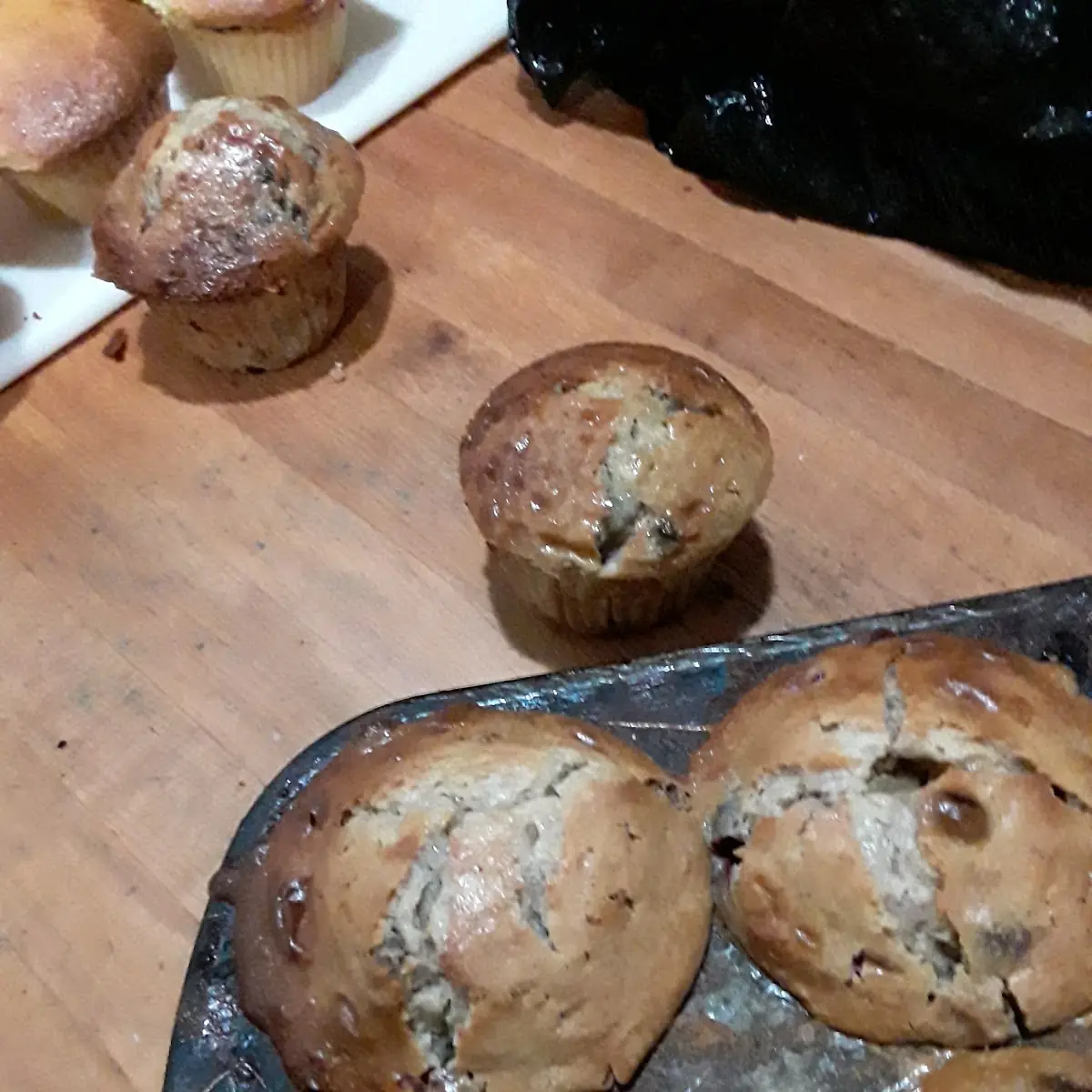 Blueberry Muffin