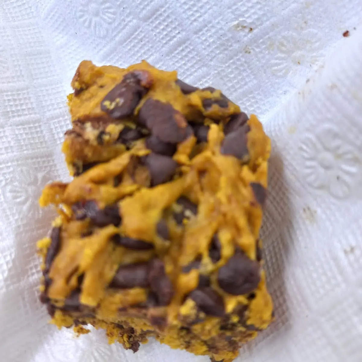 Chocolate Chip