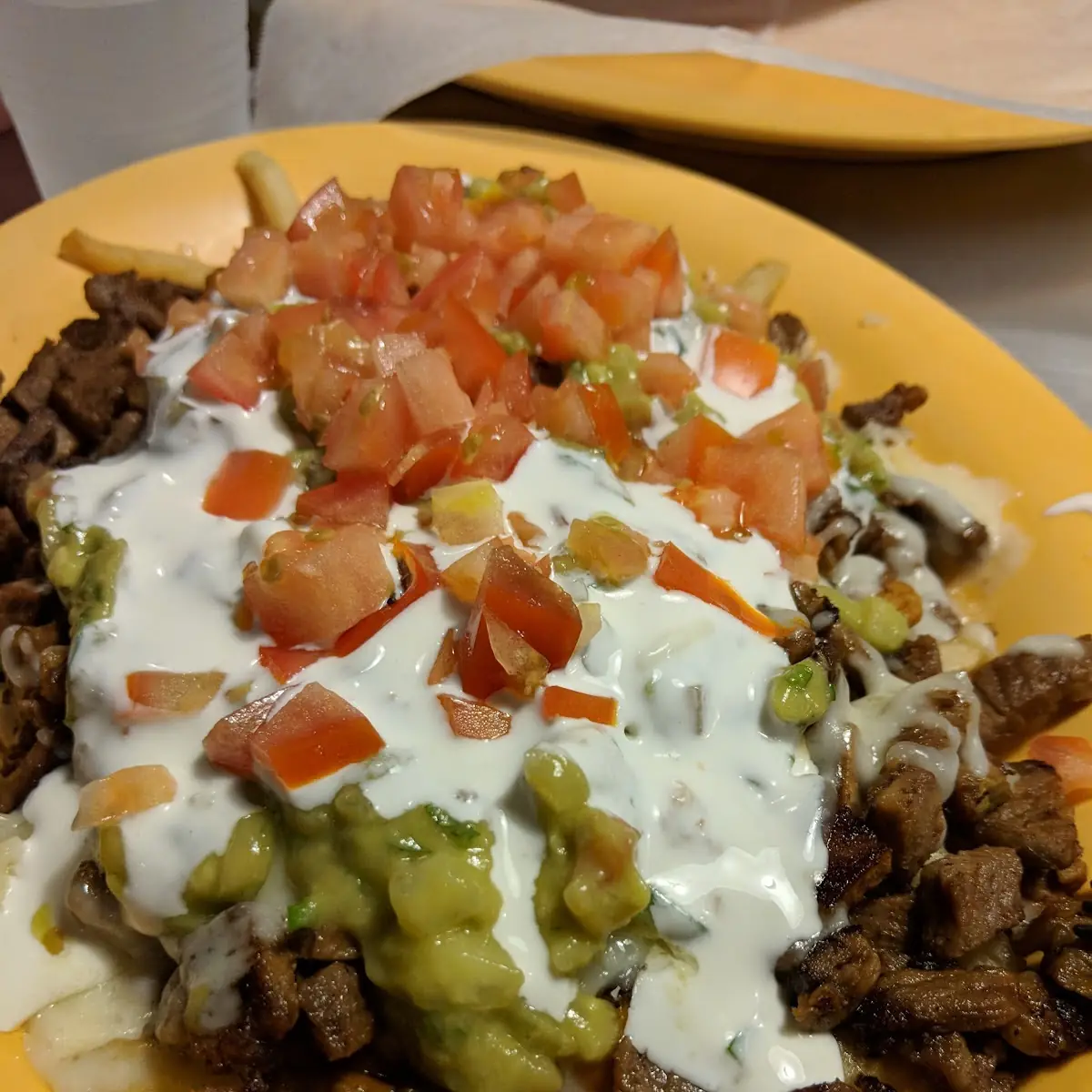 Carne Asada Fries