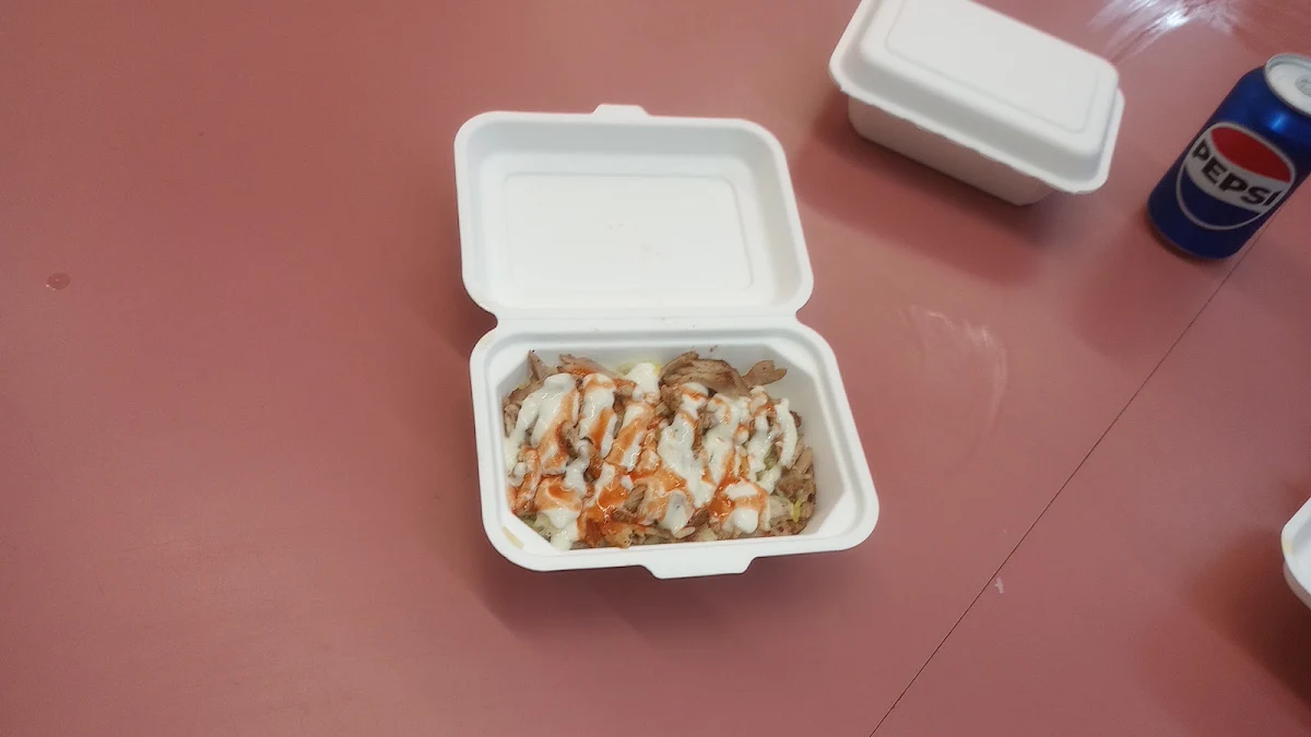 Shawarma Poutine on Fries, Hungry Dude