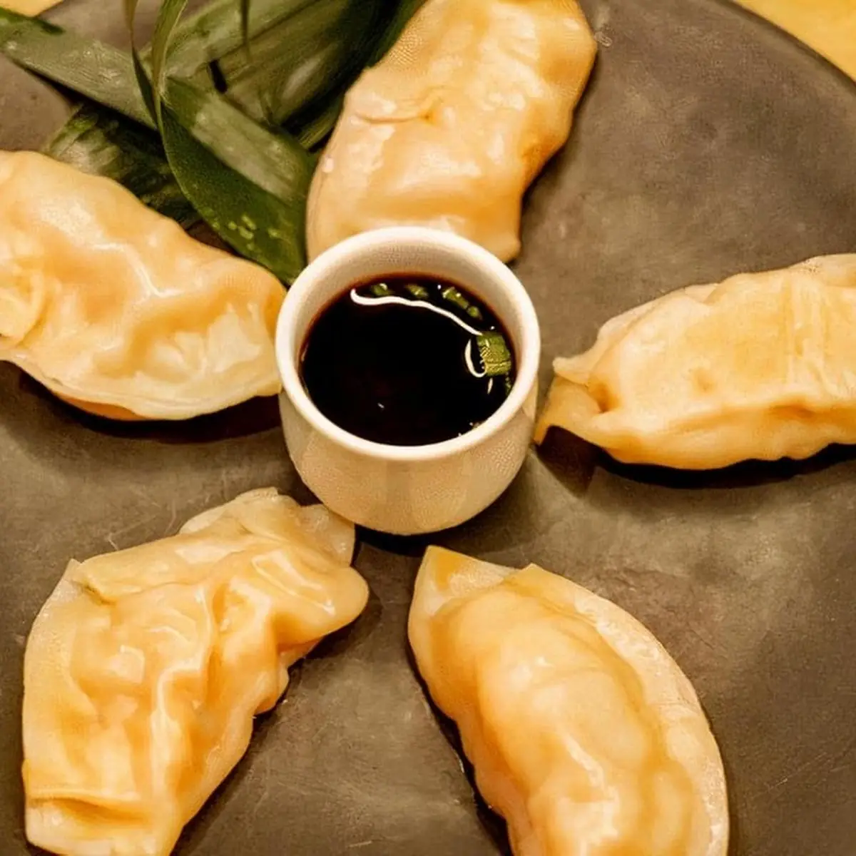 Pan Fried Dumplings with Dipping Sauce