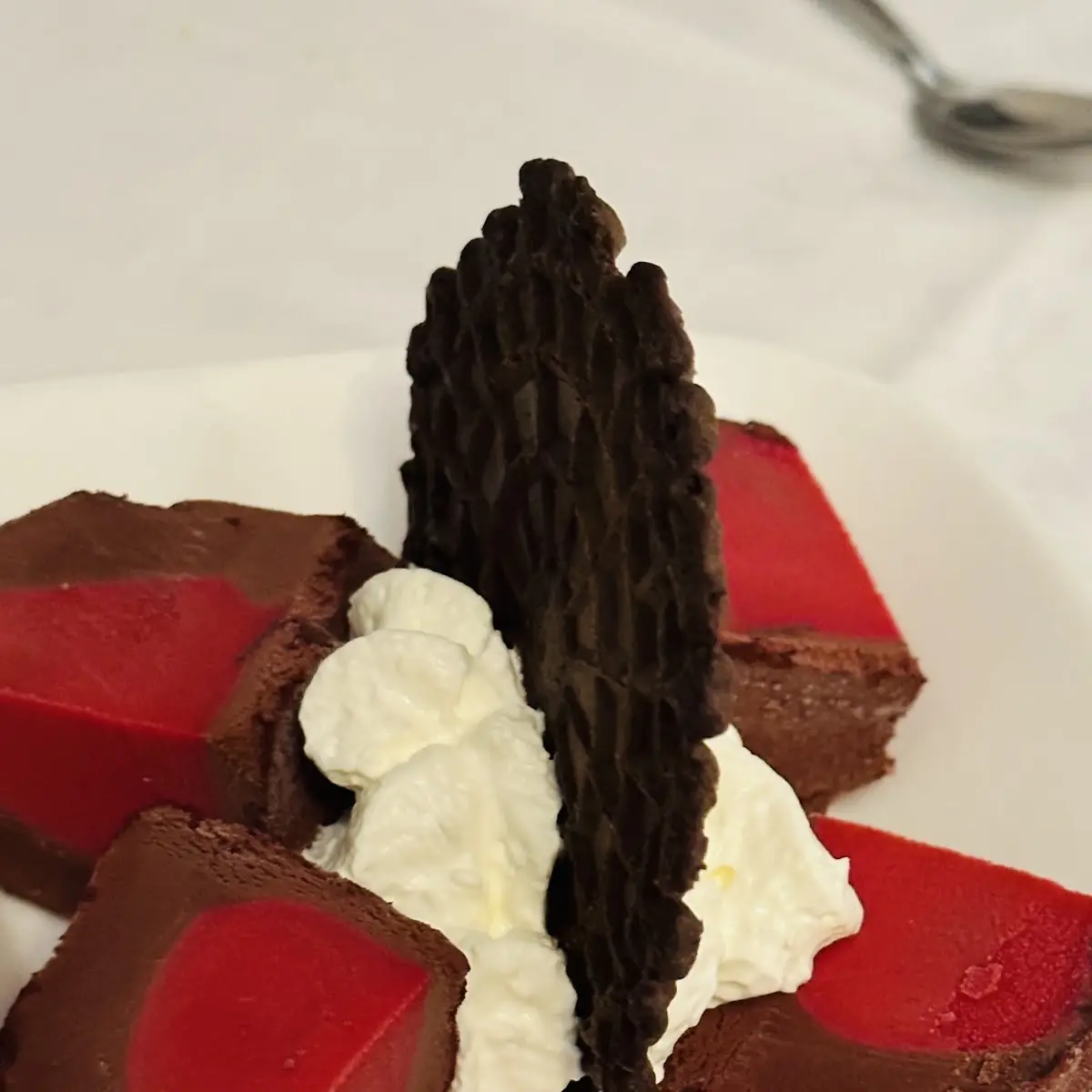 Chocolate Raspberry Tartufo