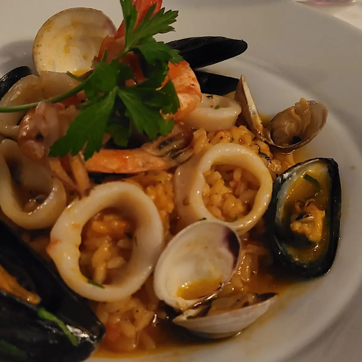 Seafood Risotto