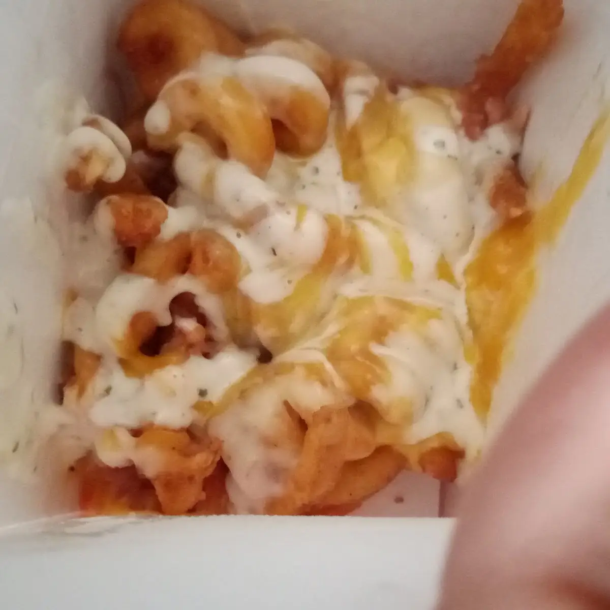 Half Empty Loaded Fries for 4 wtffff