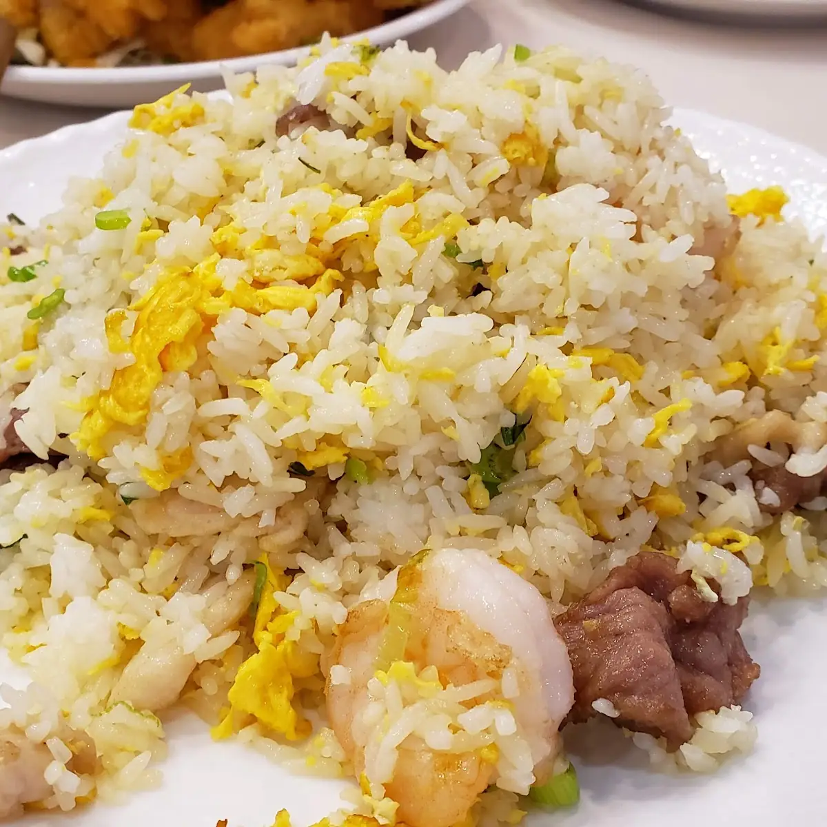 Fu Zhou Fried Rice