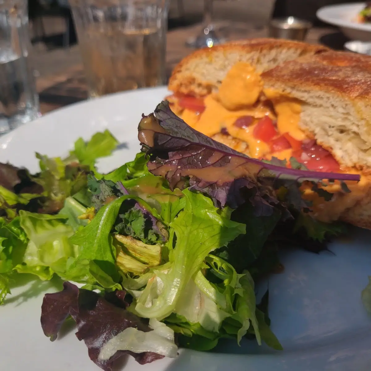 Hummus Sandwich