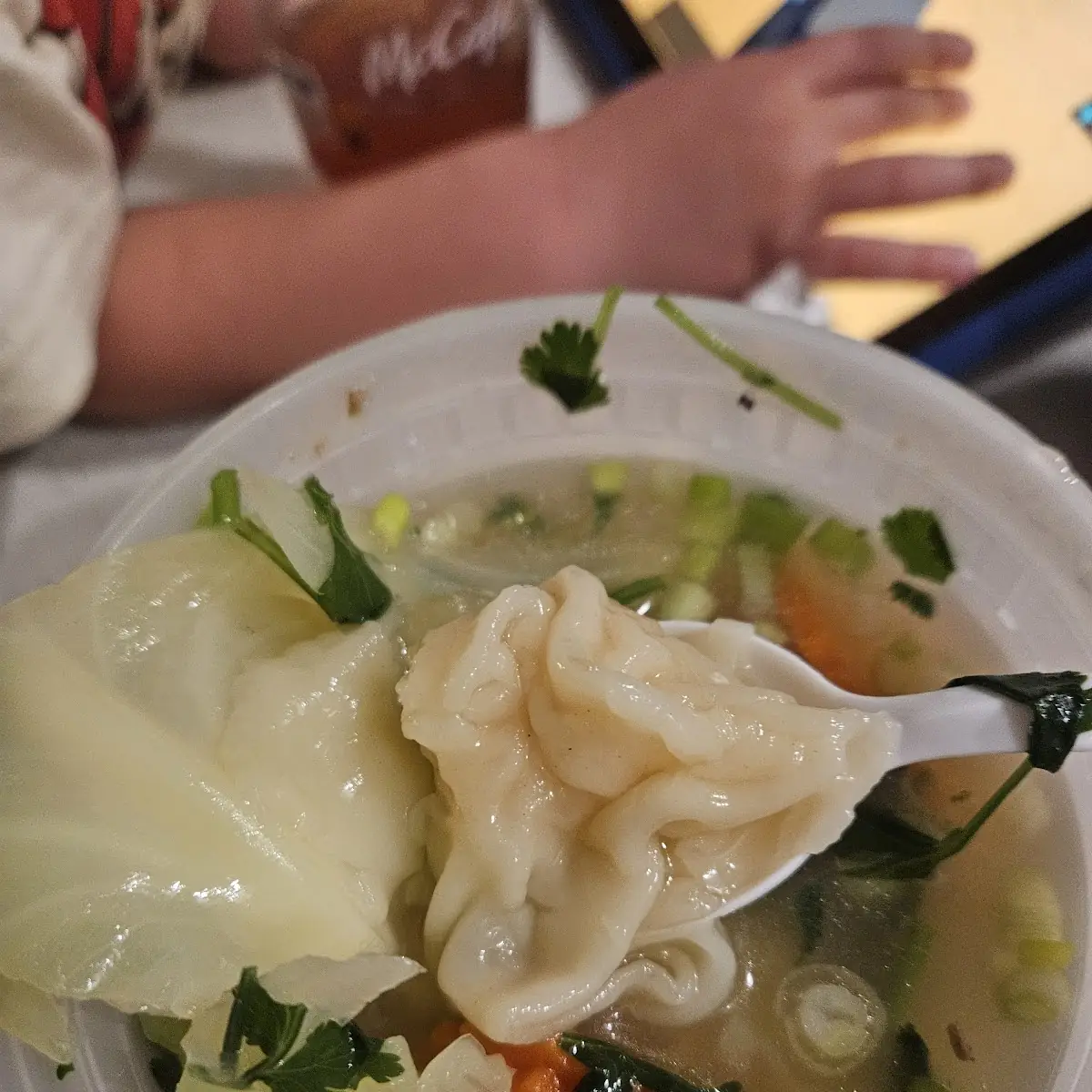 Wonton Soup