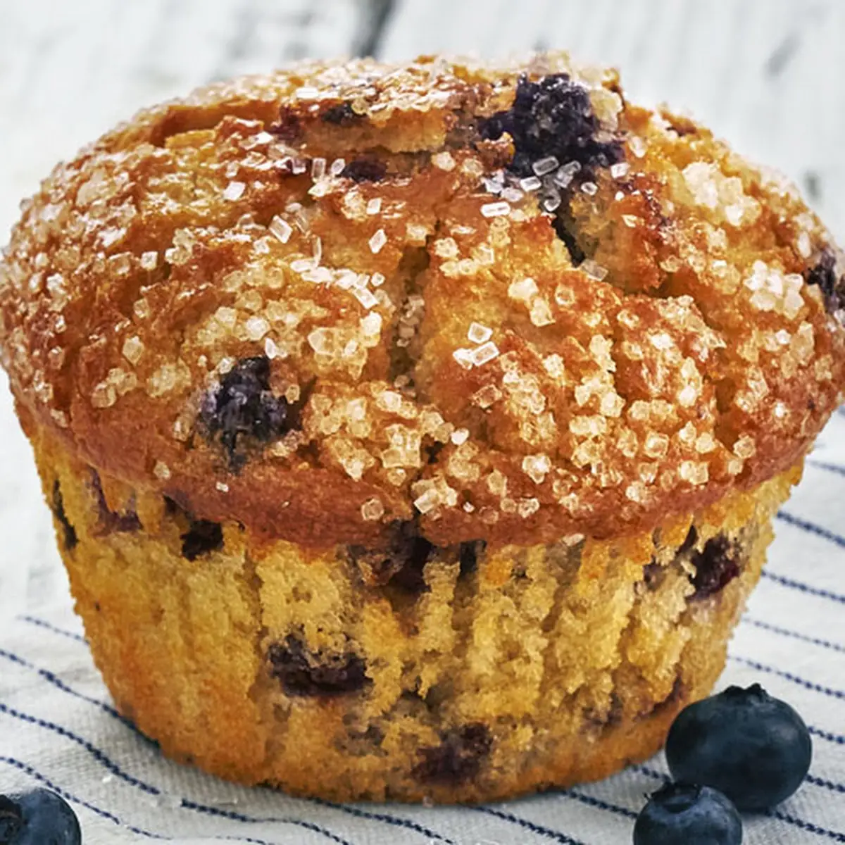 Blueberry Muffin