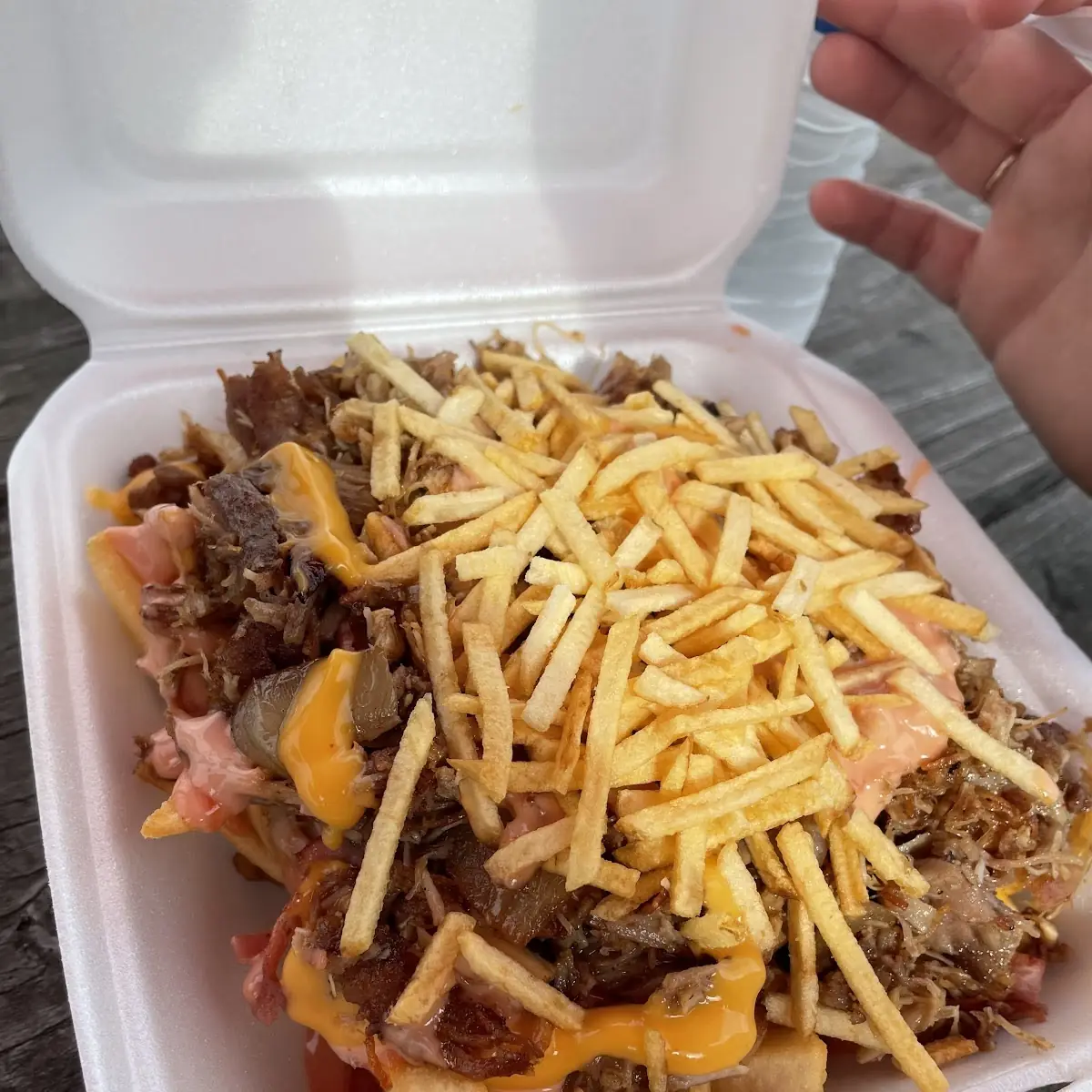 Papas Tripletas Loaded Fries