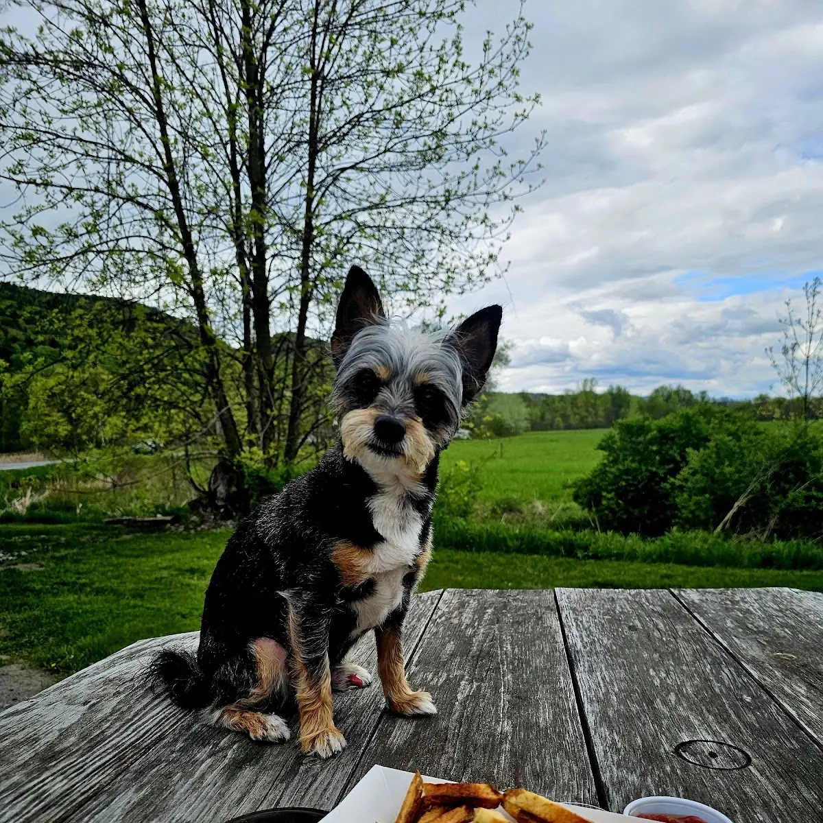 Chili Dog and George