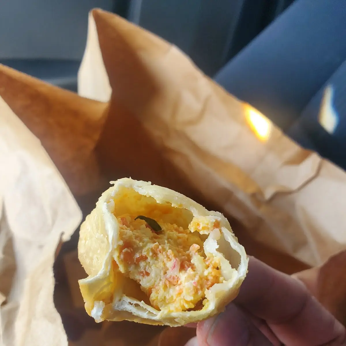 Not Fried Wonton