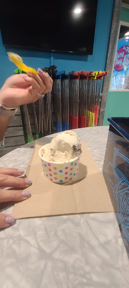 Vanilla Ice Cream