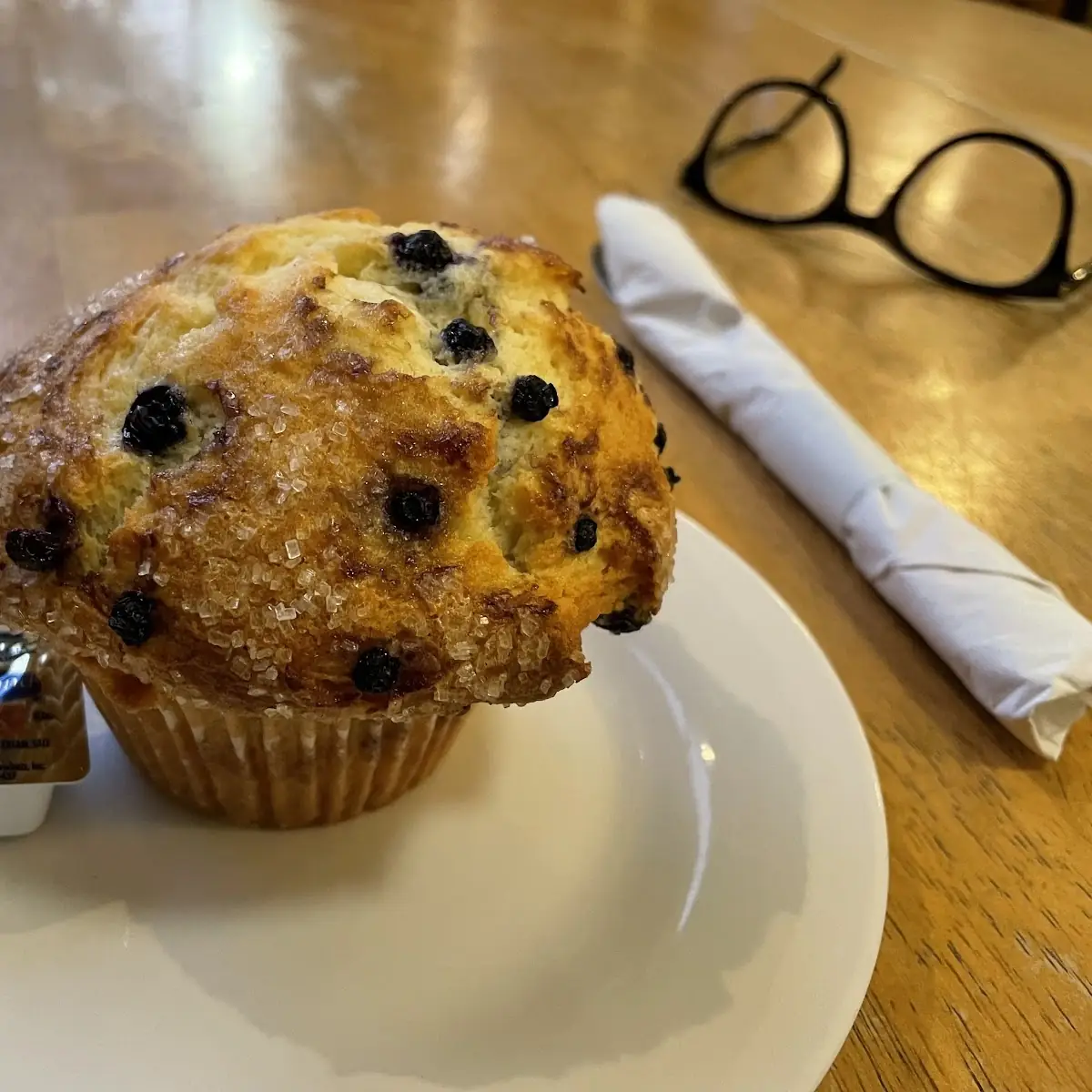 Blueberry Muffin