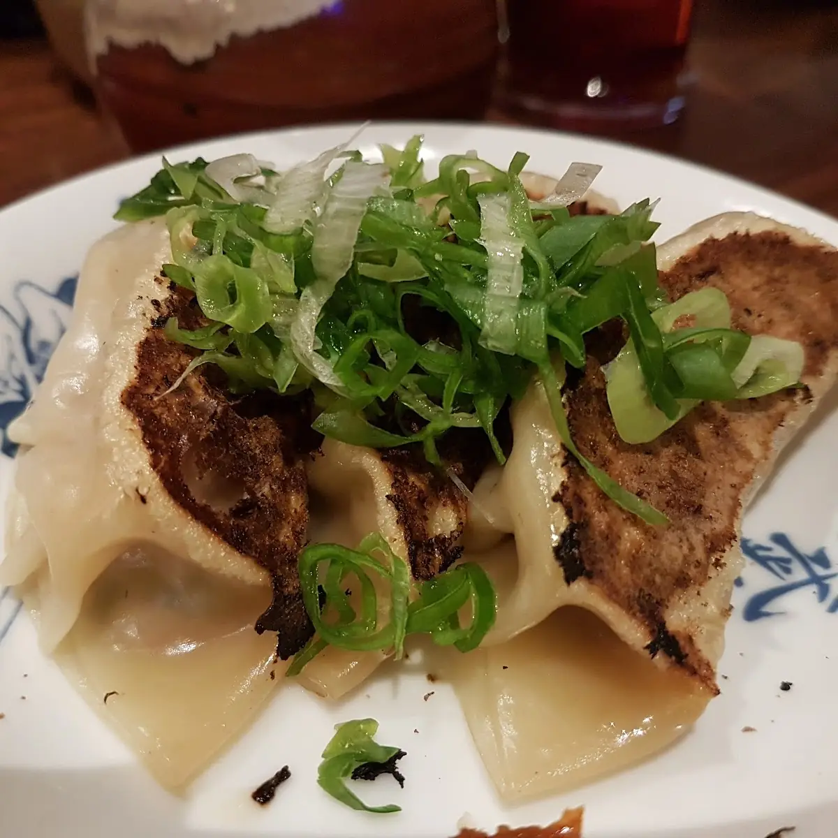 Pan Fried Dumplings