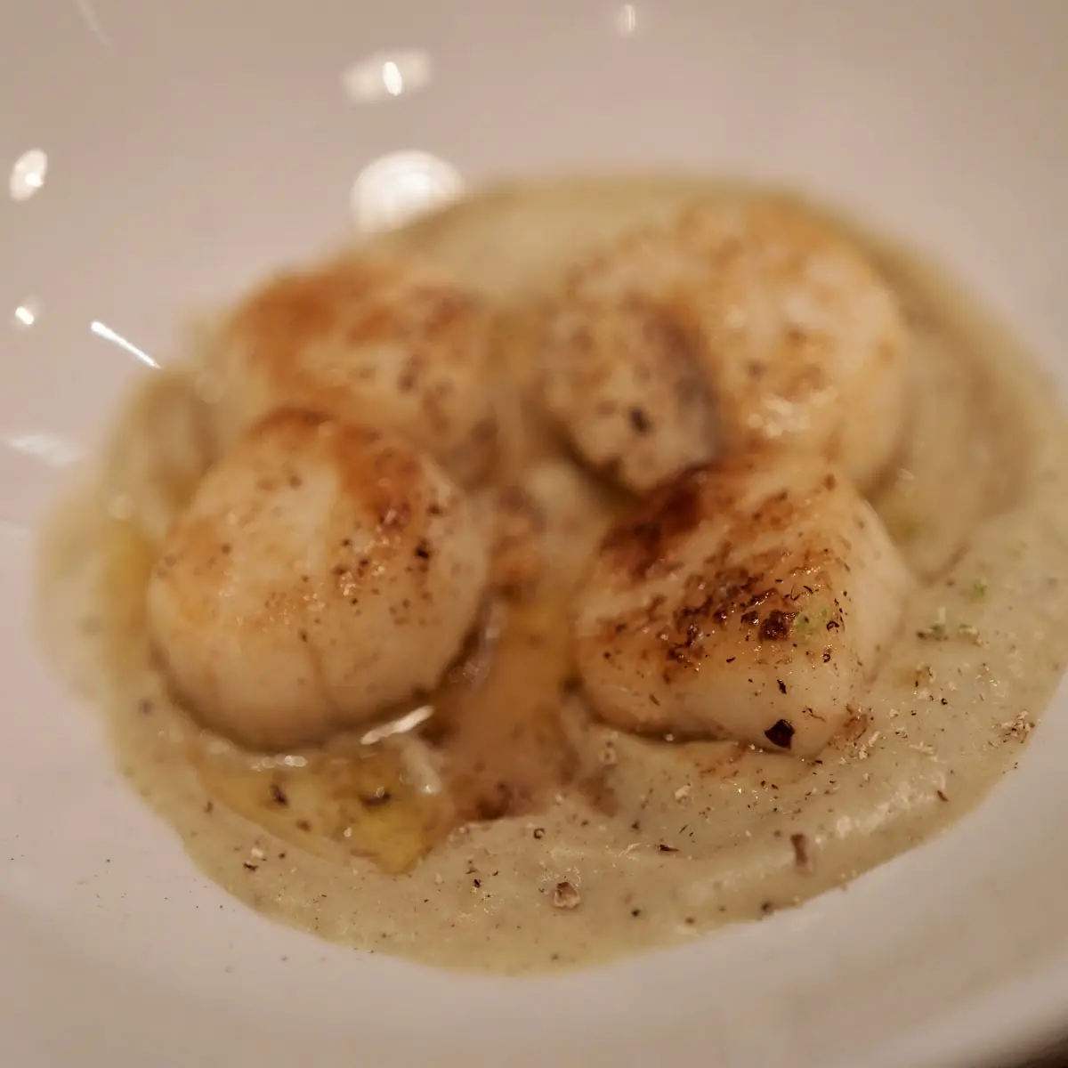 Seared Scallops