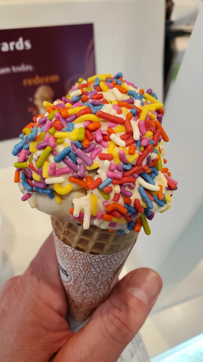 Ice Cream Cone