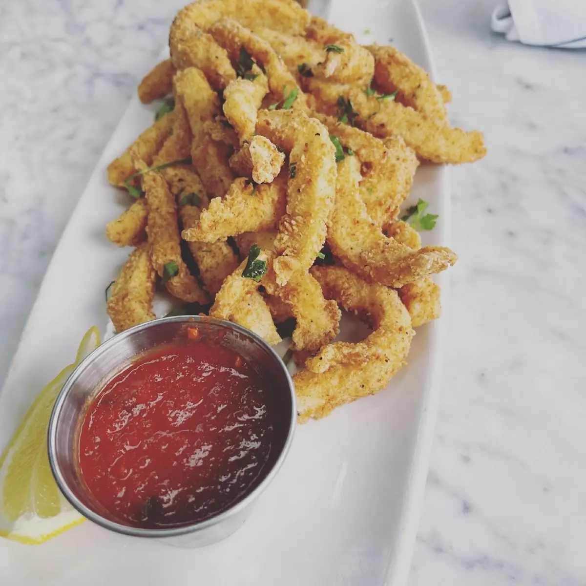 Crispy Calamari Fries