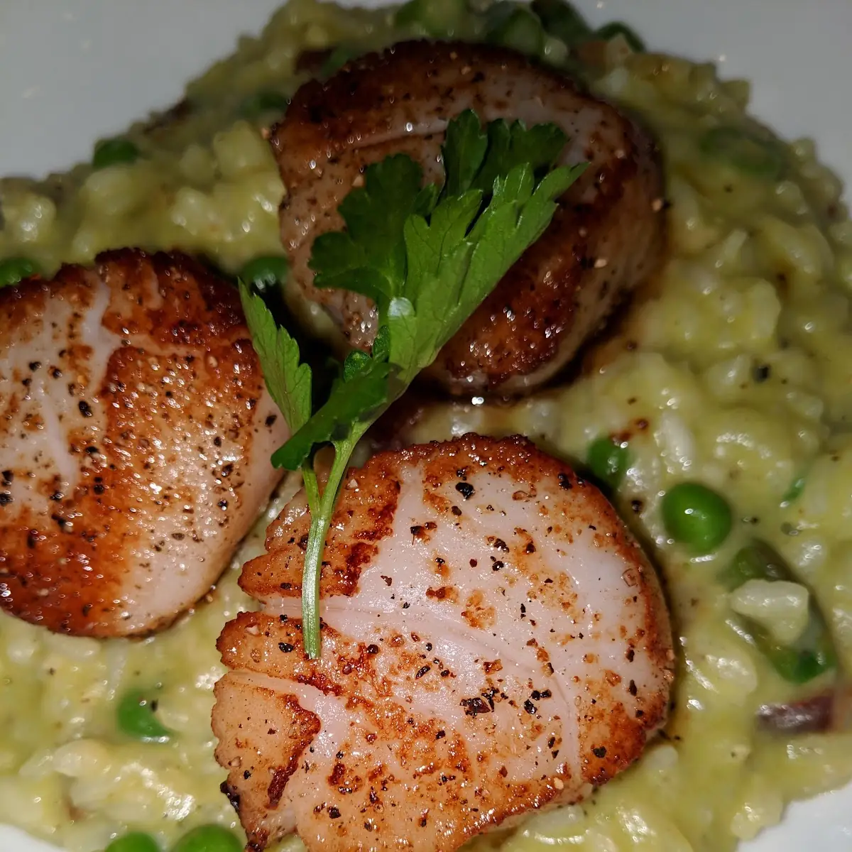 Seared Sea Scallops