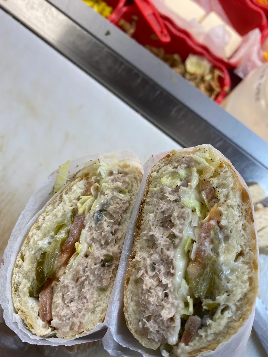 Tuna Melt Wrap and Panini
