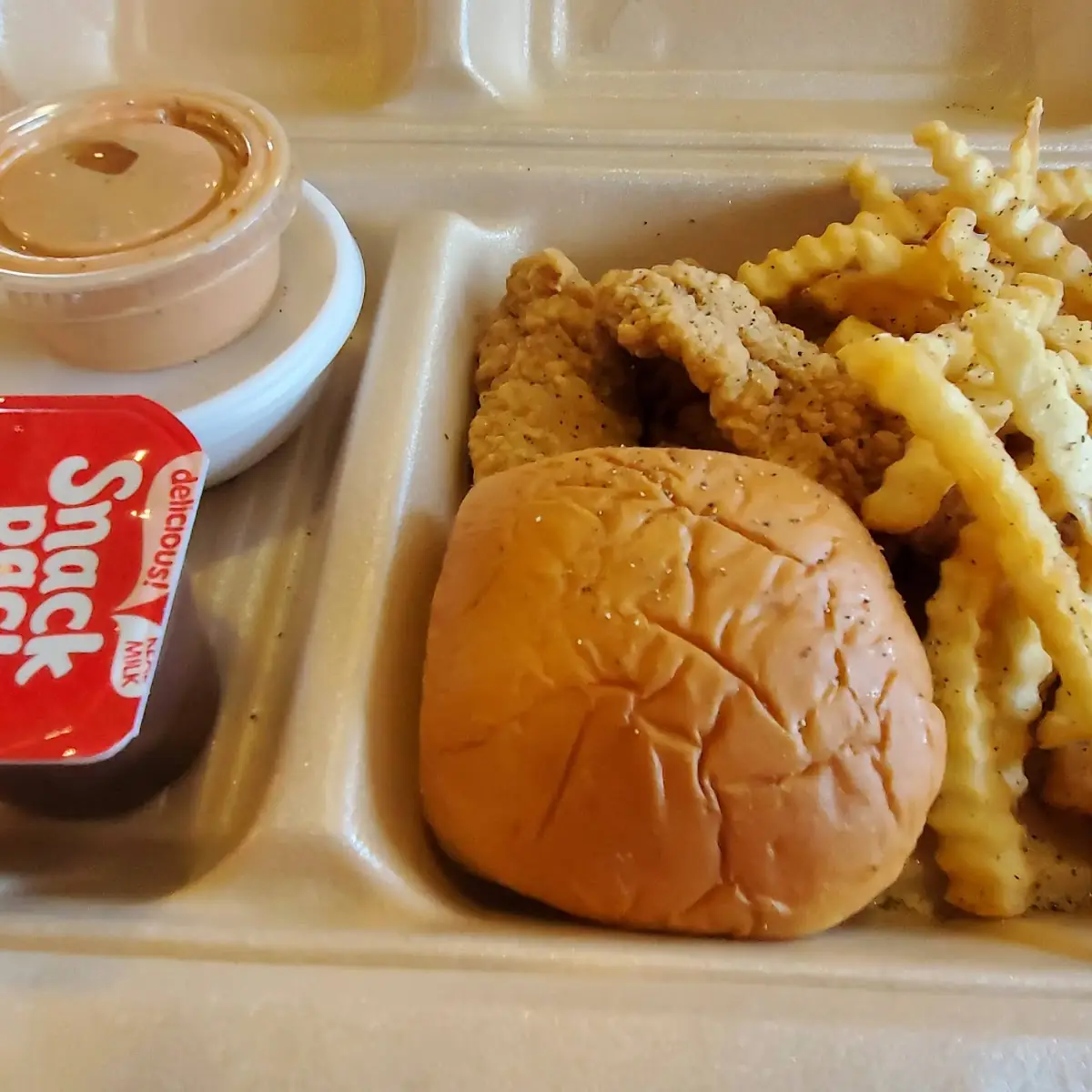 Chicken Strip Dinner and a Chocolate Shake