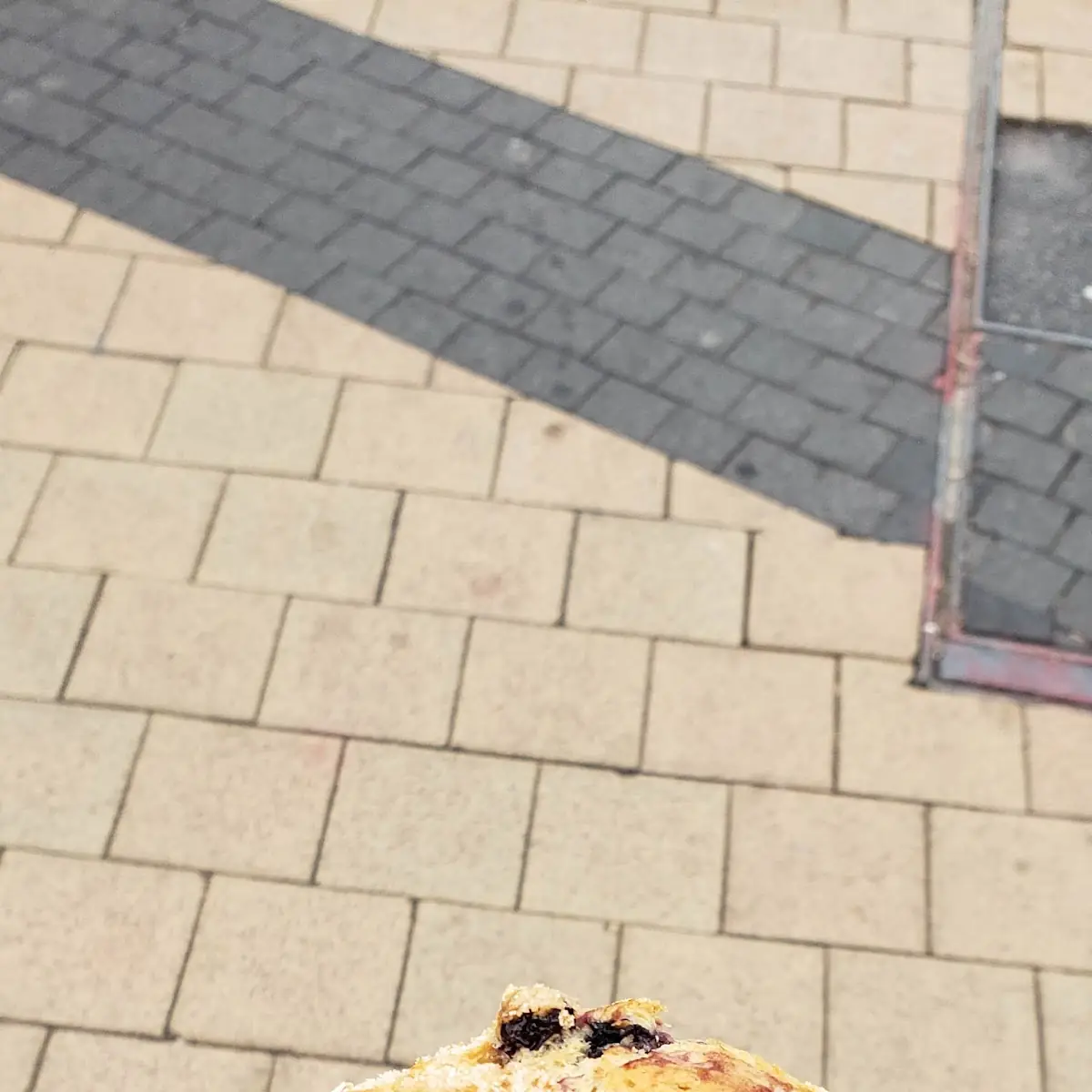 Blueberry Muffins