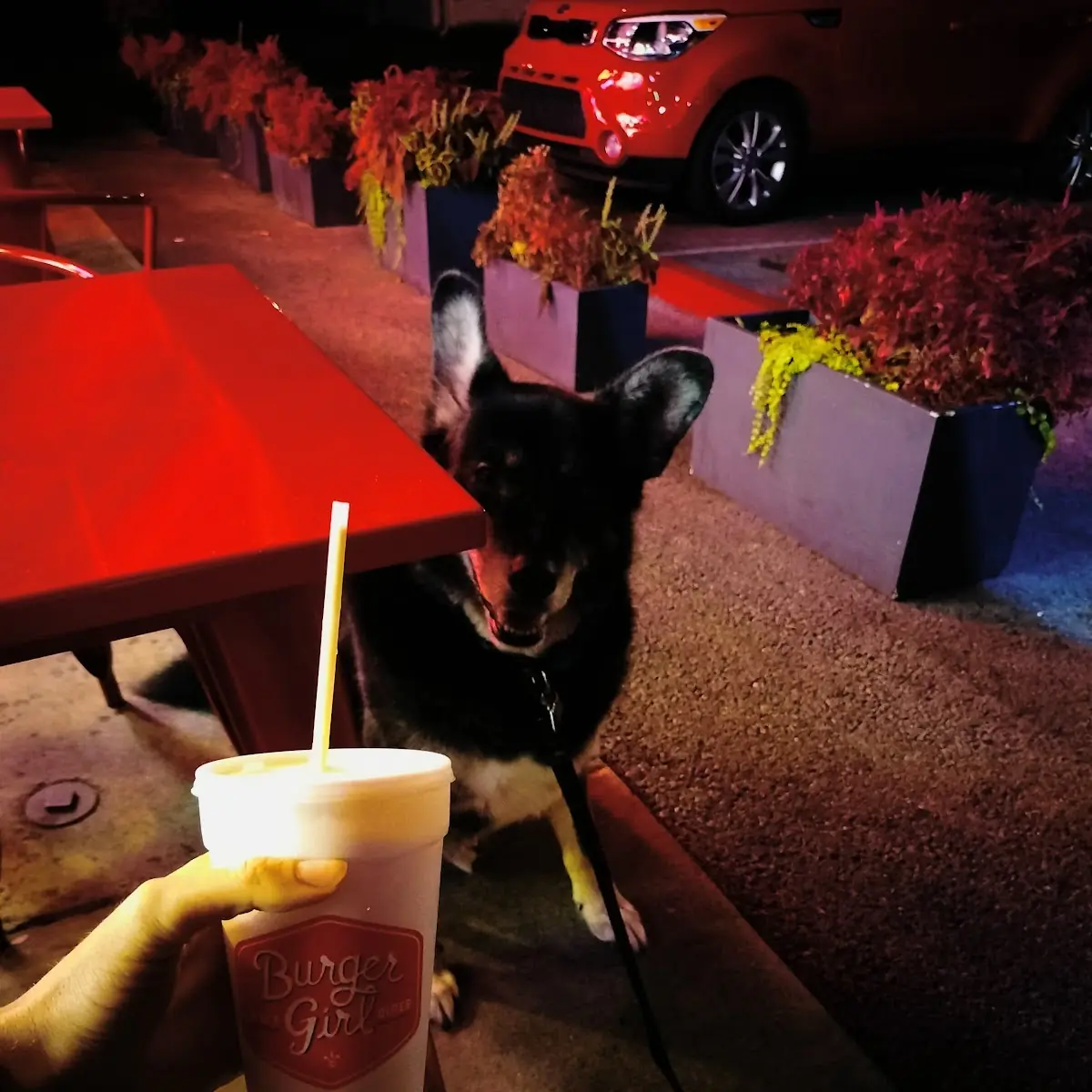 Chocolate Malt
