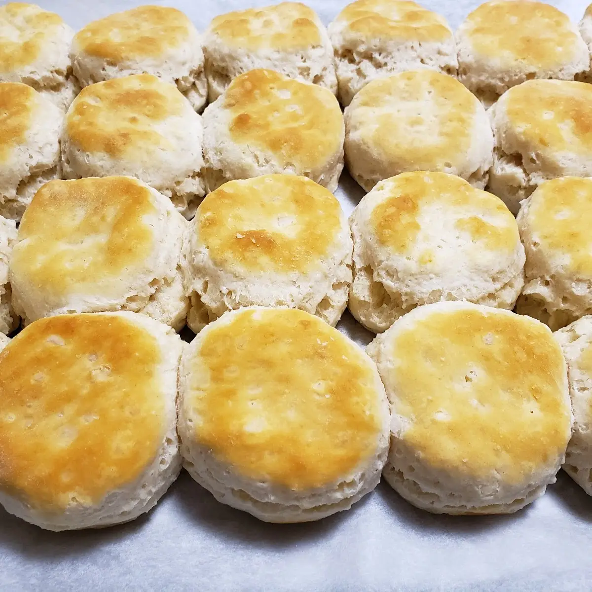 Buttermilk Biscuits