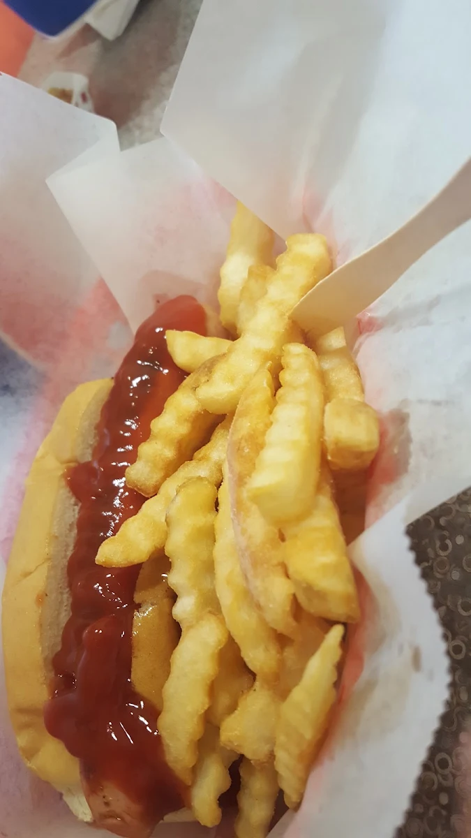 Hot Dog and Fries