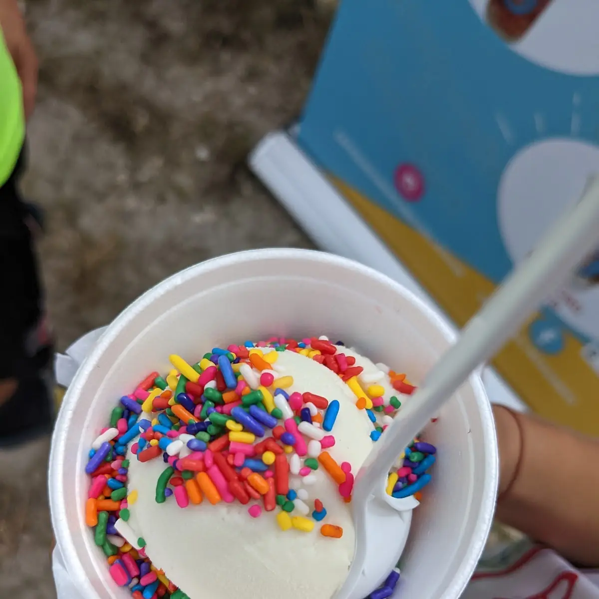 Vanilla Ice Cream