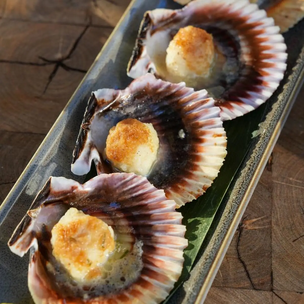 Scallops on the Half Shell