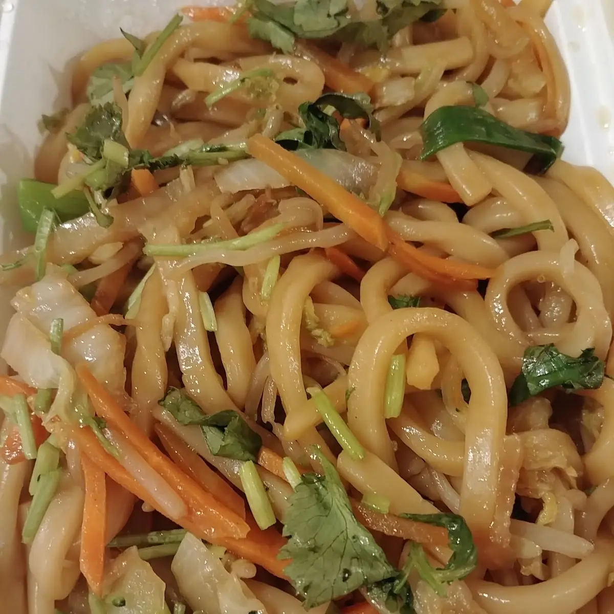 Stir Fried Udon Noodles