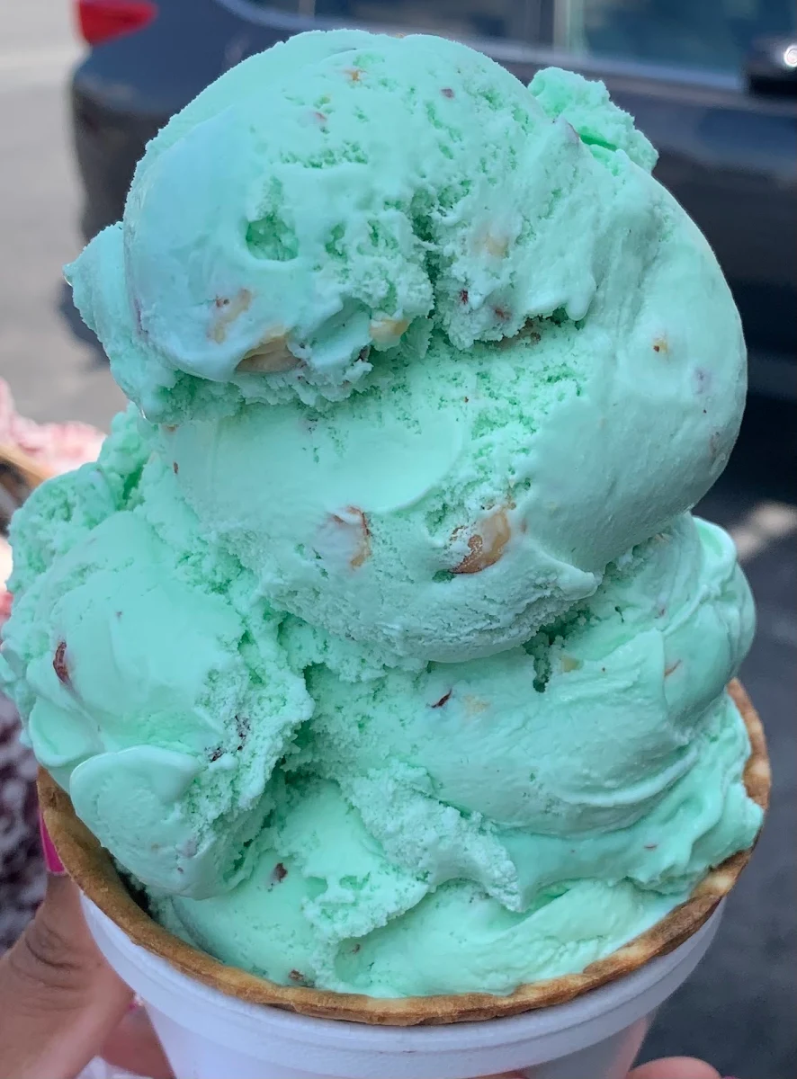 Mint Chocolate Chip