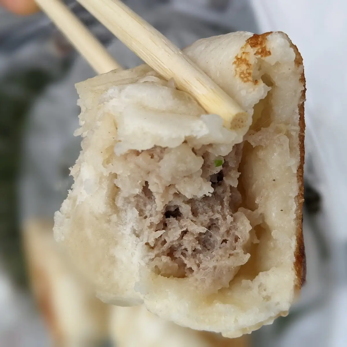 Pan Fried Pork Buns
