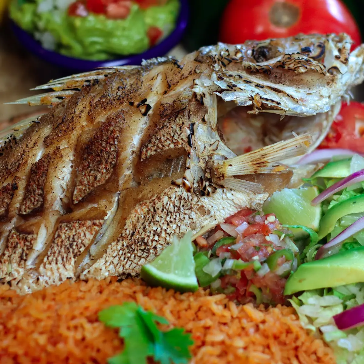 Huachinango Red Snapper