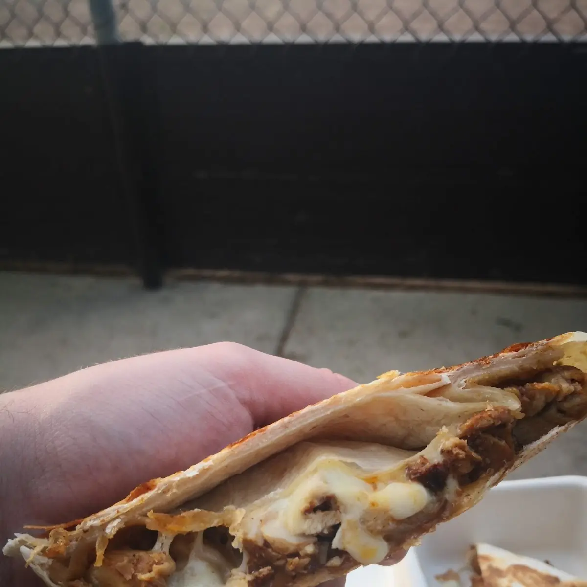Chicken Quesadilla