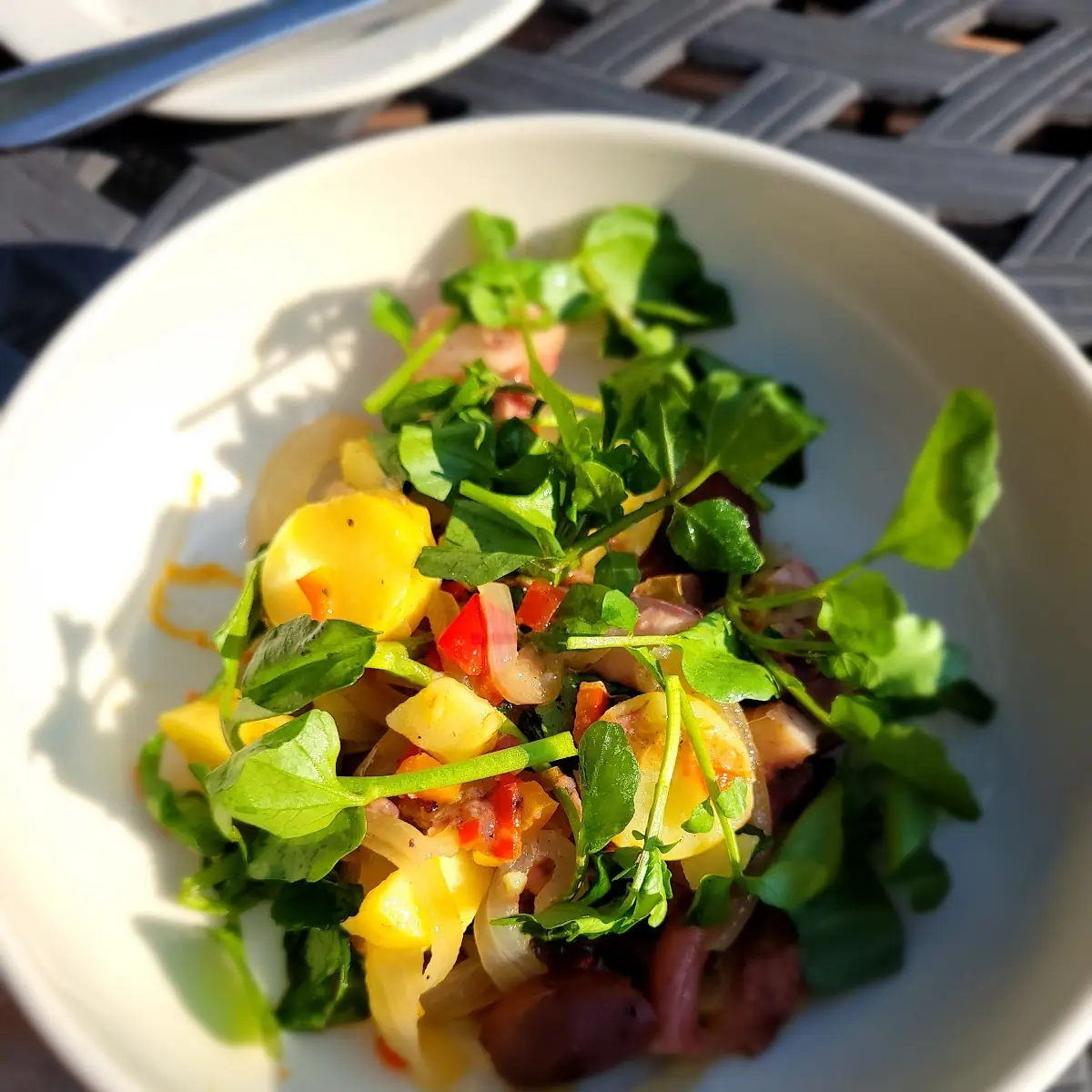Wood Grilled Octopus